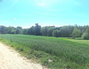 Budowlany na sprzedaż, Kościański Krzywiń Żelazno, 1 490 000 zł, 10 000 m2, 226