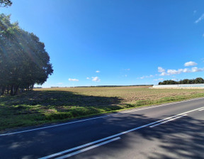 Rolny na sprzedaż, Leszczyński Włoszakowice Jezierzyce Kościelne Leszczyńska, 1 200 000 zł, 16 710 m2, 237