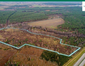 Działka na sprzedaż, Zgorzelecki Pieńsk Strzelno, 11 900 000 zł, 98 100 m2, 13607