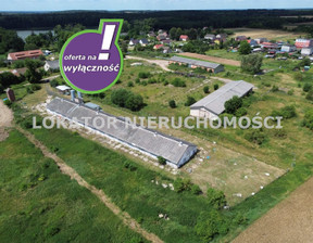 Magazyn na sprzedaż, Wałecki Wałcz Rutwica, 650 000 zł, 1200 m2, LKT-HS-2458