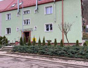 Mieszkanie na sprzedaż, Wałbrzych Stary Zdrój Giserska, 209 000 zł, 42,69 m2, 01/03/24