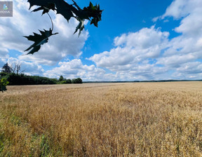 Rolny na sprzedaż, Nidzicki (pow.) Nidzica (gm.) Radomin, 189 000 zł, 15 898 m2, L/02/07/2024