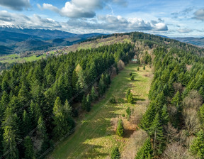 Działka na sprzedaż, Suski Sucha Beskidzka, 135 000 zł, 3900 m2, 1182/13924/OGS