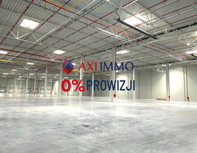 Magazyn do wynajęcia, Krakowski Słomniki, 190 000 zł, 10 000 m2, 8860