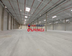 Magazyn do wynajęcia, Łódź Widzew, 11 400 euro (48 564 zł), 3000 m2, 8952