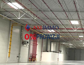 Magazyn do wynajęcia, Krakowski Słomniki, 90 000 zł, 5000 m2, 8911