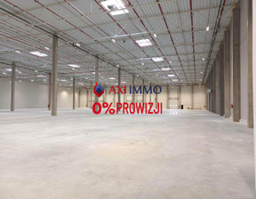 Magazyn do wynajęcia, Pabianicki Pabianice, 52 500 euro (223 650 zł), 15 000 m2, 8909