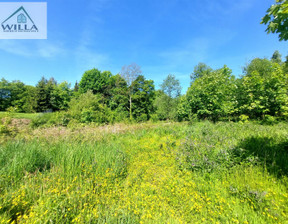 Działka na sprzedaż, Wałbrzyski Jedlina-Zdrój, 156 850 zł, 3137 m2, WIL-GS-4345