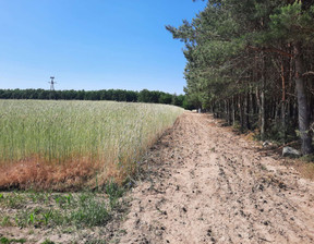 Rolny na sprzedaż, Koniński (Pow.) Wilczyn (Gm.) Cegielnia, 128 640 zł, 4288 m2, JYBE954