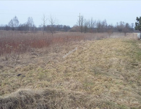 Działka do wynajęcia, Wołomiński (pow.) Wołomin (gm.) Wołomin, 7500 zł, 5000 m2, FYGU060