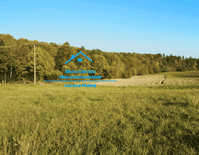 Działka na sprzedaż, Wadowicki (Pow.) Wieprz (Gm.) Frydrychowice, 160 000 zł, 2400 m2, N295