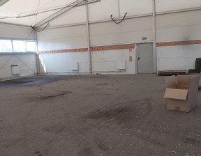 Magazyn, hala do wynajęcia, Kraków Nowa Huta, 9000 zł, 300 m2, 248