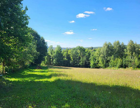 Działka na sprzedaż, Krakowski Iwanowice Maszków, 700 000 zł, 11 200 m2, 53/5815/OGS