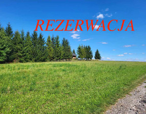 Działka na sprzedaż, Krakowski Iwanowice Maszków, 700 000 zł, 11 200 m2, 53/5815/OGS