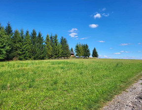 Działka na sprzedaż, Krakowski Iwanowice Maszków, 700 000 zł, 11 200 m2, 53/5815/OGS