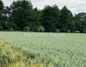 Działka na sprzedaż, Trzebnicki Oborniki Śląskie Borkowice, 120 000 zł, 3000 m2, PROD-GS-828