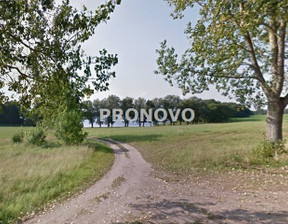 Działka na sprzedaż, Drawski Drawsko Pomorskie Zarańsko, 620 000 zł, 9900 m2, PKN-GS-932