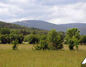 Budowlany na sprzedaż, Lwówecki Mirsk Krobica, 105 000 zł, 1500 m2, 55940691