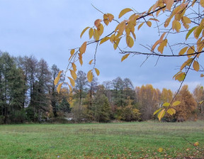 Działka na sprzedaż, Zgierski Zgierz Dąbrówka Wielka, 260 000 zł, 2995 m2, ETR-GS-1083-93