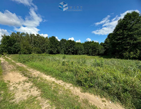 Działka na sprzedaż, Ostródzki Ostróda Grabin, 75 000 zł, 9600 m2, WITT-GS-1145