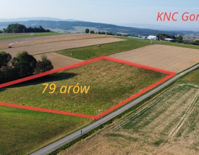 Działka na sprzedaż, Tarnowski Rzepiennik Strzyżewski Turza, 59 900 zł, 7900 m2, 321/6152/OGS