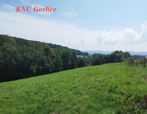 Rolny na sprzedaż, Gorlicki Gorlice Zagórzany, 55 000 zł, 3000 m2, 261/6152/OGS