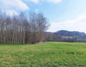 Działka na sprzedaż, Gorlicki Łużna, 110 000 zł, 11 000 m2, 322/6152/OGS