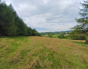 Rolny na sprzedaż, Gorlicki Gorlice, 120 000 zł, 5400 m2, 312/6152/OGS