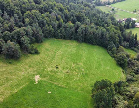 Działka na sprzedaż, Gorlicki (Pow.) Uście Gorlickie (Gm.) Regietów, 196 000 zł, 15 200 m2, 346/6152/OGS