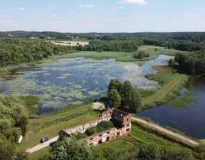 Komercyjne na sprzedaż, Puławski Wąwolnica Celejów, 12 500 000 zł, 350 000 m2, 99/13924/OOS