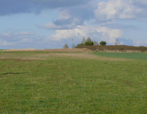 Działka na sprzedaż, Lubartowski Jeziorzany Przytoczno, 345 000 zł, 8284 m2, 989/13924/OGS