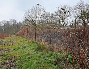 Działka na sprzedaż, Puławski Kazimierz Dolny, 450 000 zł, 3000 m2, 811/13924/OGS