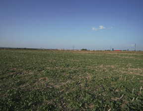 Handlowo-usługowy na sprzedaż, Lubelski Wólka Długie, 800 000 zł, 8244 m2, 1518/13924/OGS