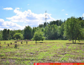 Działka na sprzedaż, Lubelski Wólka Pliszczyn, 390 000 zł, 3000 m2, 1006/13924/OGS