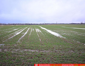 Działka na sprzedaż, Lubelski Jabłonna Wierciszów, 100 000 zł, 1087 m2, 613/13924/OGS