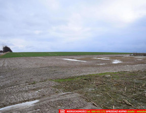 Działka na sprzedaż, Lubelski Jabłonna Wierciszów, 360 000 zł, 4001 m2, 646/13924/OGS