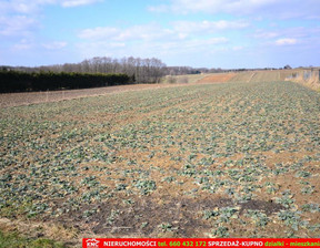 Rolny na sprzedaż, Lubelski Konopnica Motycz, 295 000 zł, 6800 m2, 620/13924/OGS