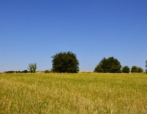 Działka na sprzedaż, Lubelski Niemce Jakubowice Konińskie, 985 000 zł, 4800 m2, 833/13924/OGS