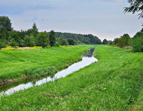 Działka na sprzedaż, Łęczyński Ludwin Dąbrowa, 35 000 zł, 21 100 m2, 1072/13924/OGS