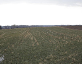 Działka na sprzedaż, Lubelski Jastków Tomaszowice, 169 000 zł, 2200 m2, 768/13924/OGS