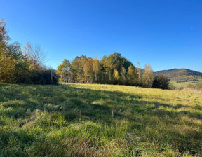 Budowlany na sprzedaż, Myślenicki Myślenice Trzemeśnia, 550 000 zł, 3471,4 m2, 1455