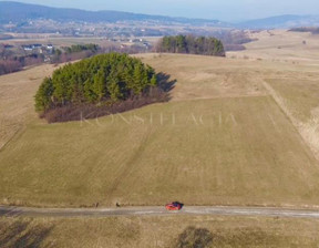 Handlowo-usługowy na sprzedaż, Myślenicki Wiśniowa, 1 550 000 zł, 11 100 m2, 1459