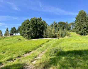 Rolny na sprzedaż, Myślenicki Myślenice Krzyszkowice, 390 000 zł, 1942 m2, 1424