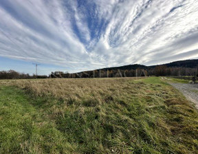 Rolny na sprzedaż, Myślenicki Myślenice Jawornik, 250 000 zł, 2957 m2, 1457