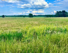 Działka na sprzedaż, Piaseczyński Tarczyn Kotorydz, 3 995 000 zł, 15 000 m2, pl787826