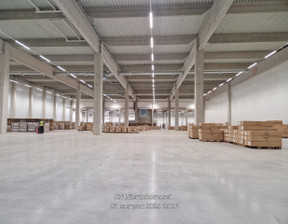 Hala do wynajęcia, Cieszyński Cieszyn, 130 000 zł, 4000 m2, 1529