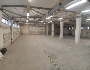 Obiekt do wynajęcia, Mikołowski Łaziska Górne, 8290 zł, 280 m2, 1123