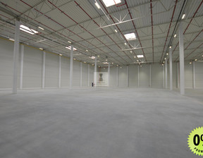 Magazyn do wynajęcia, Zgierski Stryków, 120 000 zł, 12 000 m2, 5703