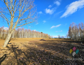 Rolny na sprzedaż, Olsztyński Dywity Rozgity, 193 900 zł, 3878 m2, 1736/6682/OGS