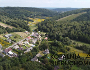 Działka na sprzedaż, Myszkowski Niegowa Gorzków Stary, 120 000 zł, 13 520 m2, 153/13542/OGS